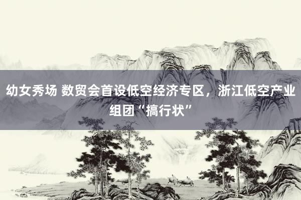幼女秀场 数贸会首设低空经济专区，浙江低空产业组团“搞行状”