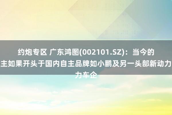 约炮专区 广东鸿图(002101.SZ)：当今的增量主如果开头于国内自主品牌如小鹏及另一头部新动力车企