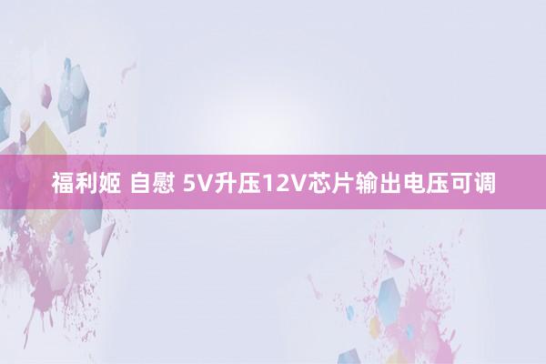 福利姬 自慰 5V升压12V芯片输出电压可调