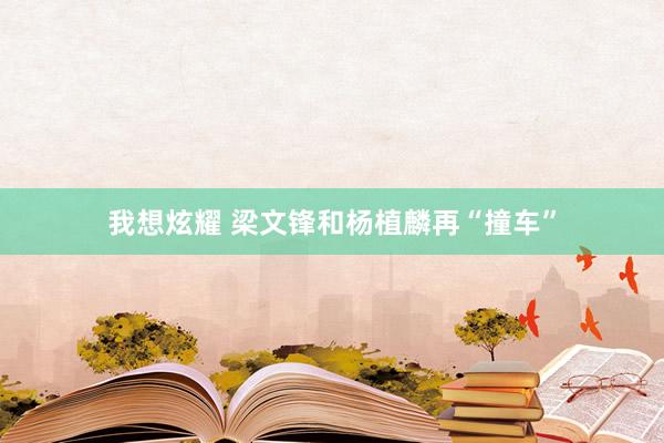 我想炫耀 梁文锋和杨植麟再“撞车”